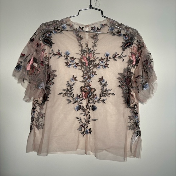 Zara Sheer Tulle Emroidered Blouse - Picture 3 of 14